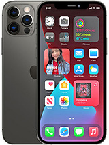 Best available price of Apple iPhone 12 Pro in Indonesia