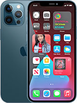 Best available price of Apple iPhone 12 Pro Max in Indonesia