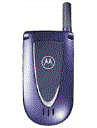 Best available price of Motorola V66i in Indonesia